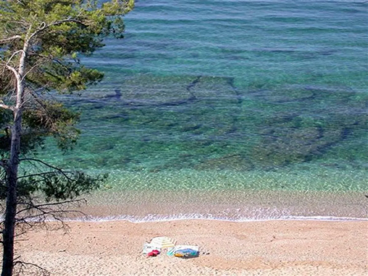 **** Beau T2 de 40 m2, jardin de 70m2, au calme, à 50 mètres de la plage Le Pradet Appartement