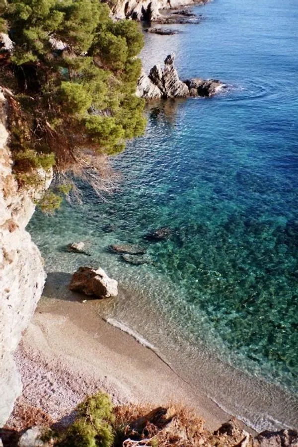 Apartment **** Beau T2 De 40 M2, Jardin De 70M2, Au Calme, A 50 Metres De La Plage Le Pradet France